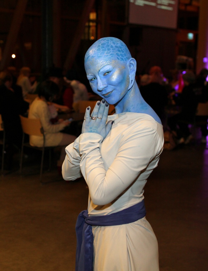 Desucon Frostbite 2015, Convention photos