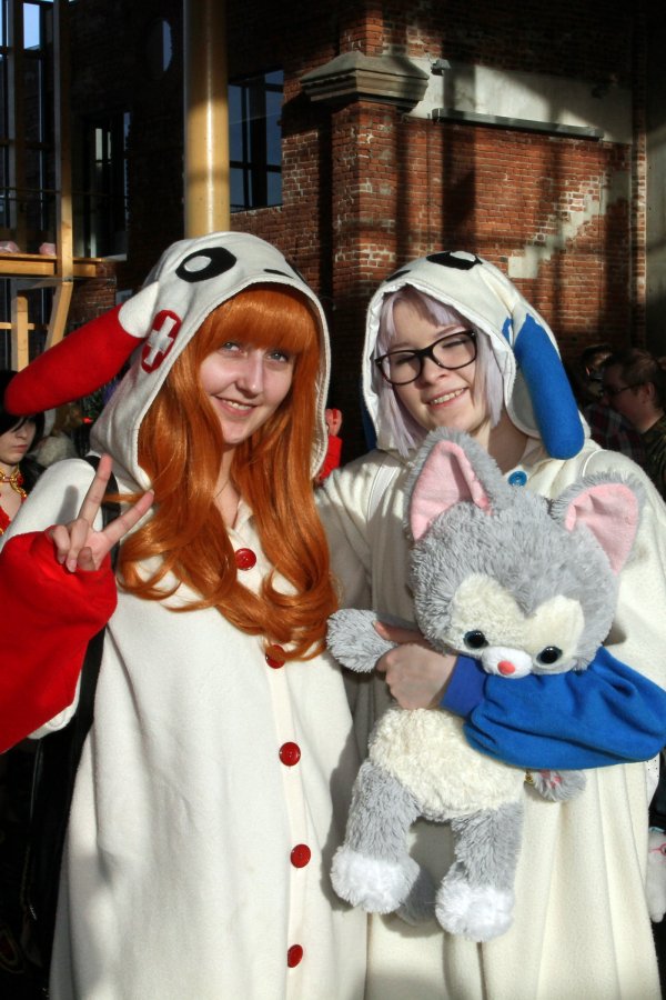 Desucon Frostbite 2015, Convention photos