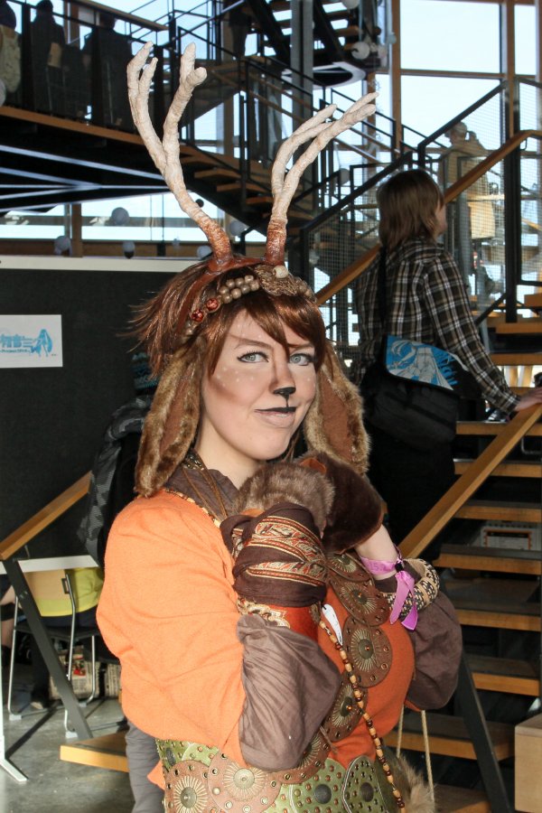 Desucon Frostbite 2015, Convention photos