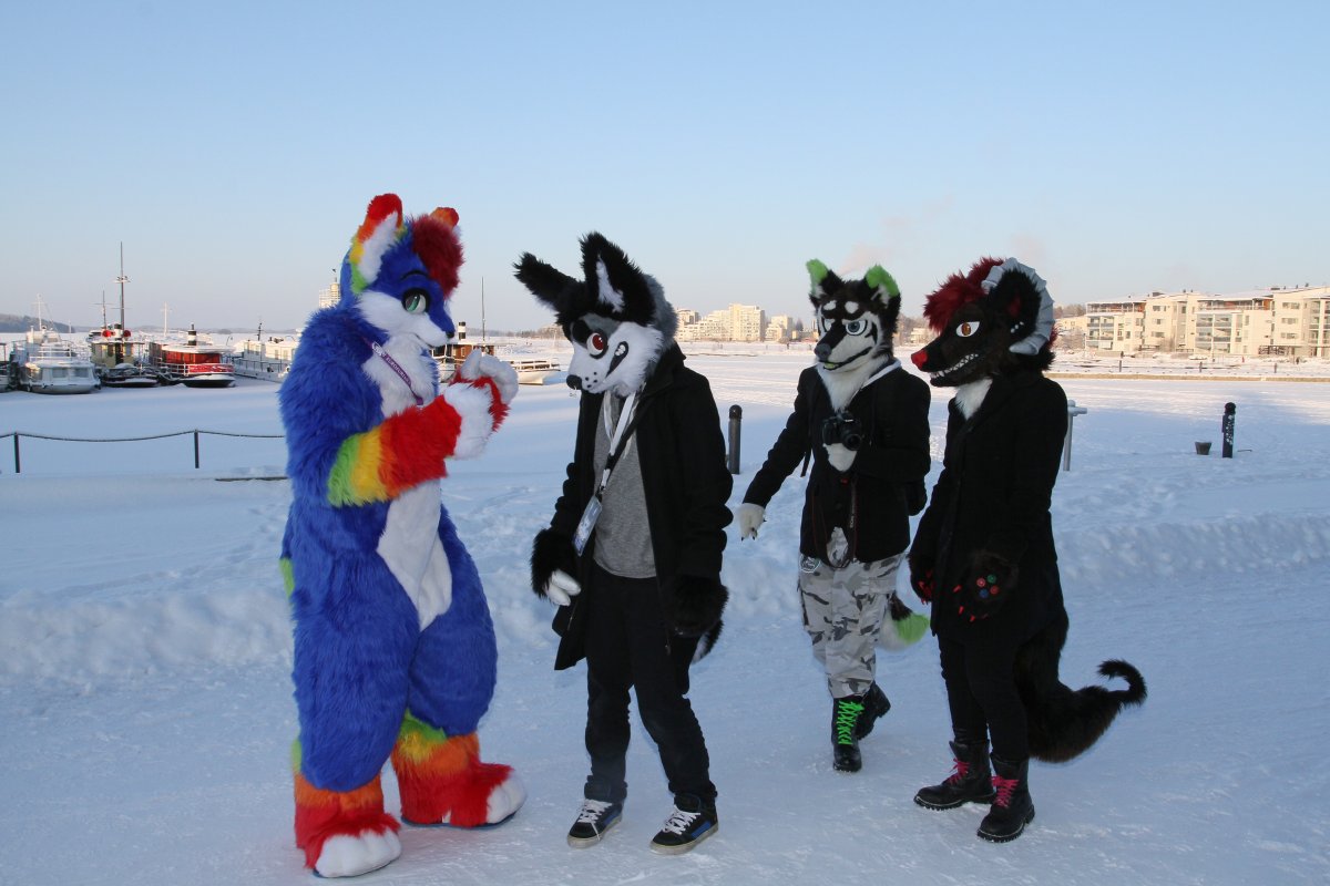 Desucon Frostbite 2016