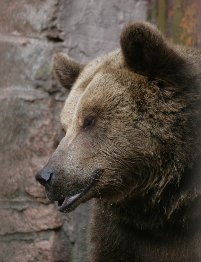 Eurofurence 13, Suhl zoo