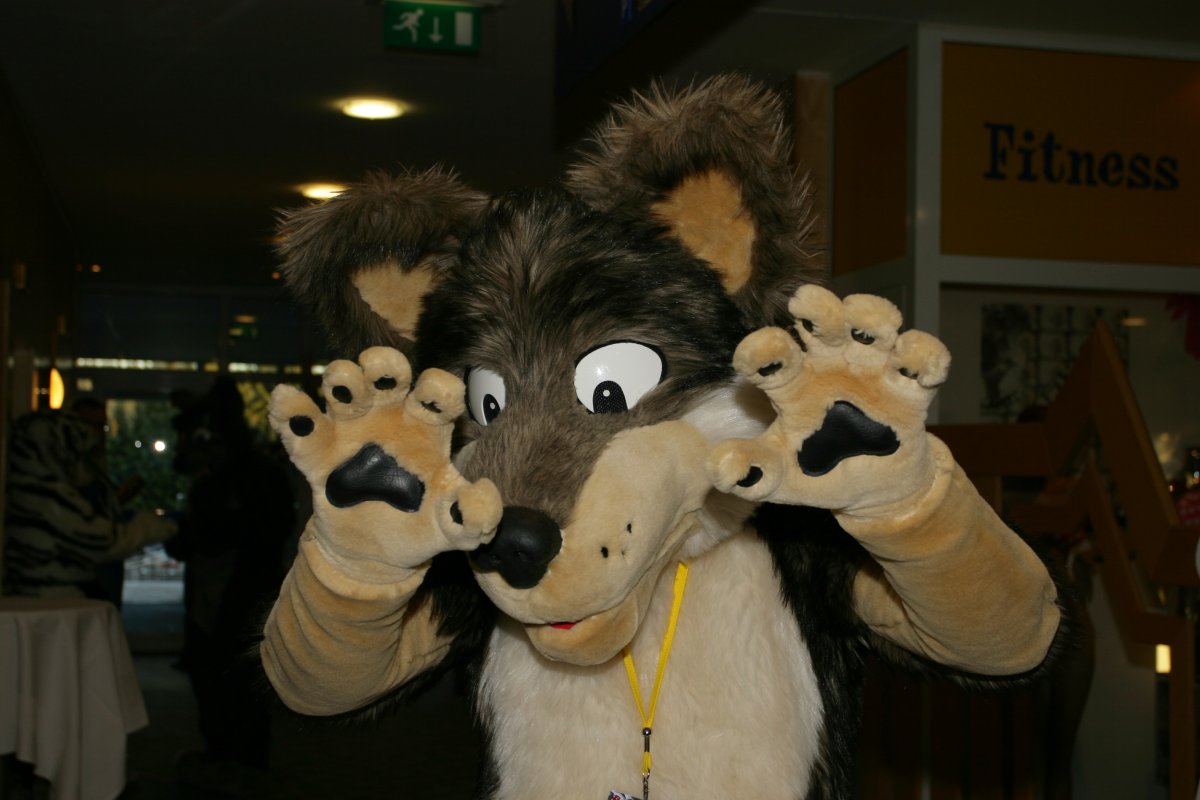 Eurofurence 13