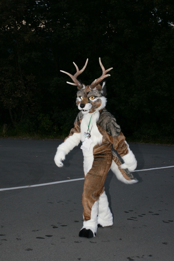 Eurofurence 13