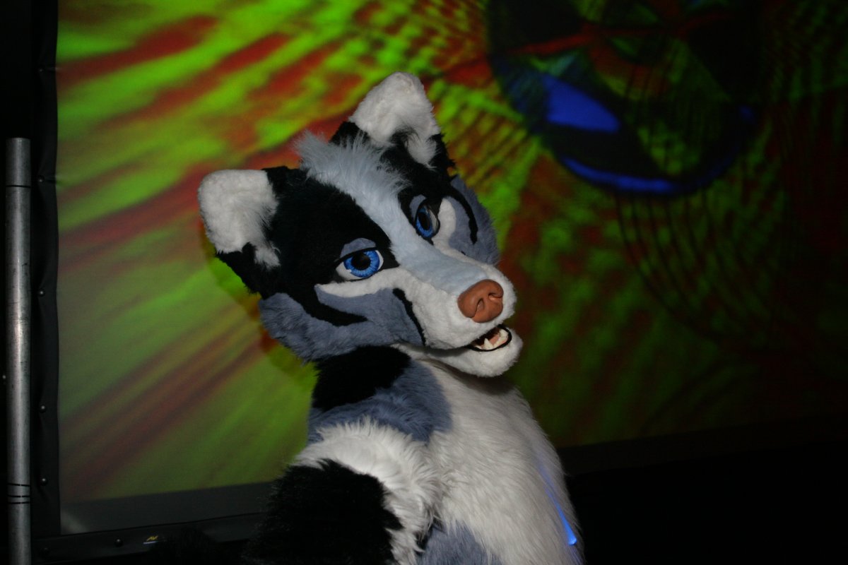 Eurofurence 13, Dancing