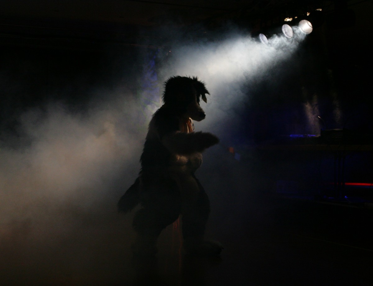 Eurofurence 13, Dancing