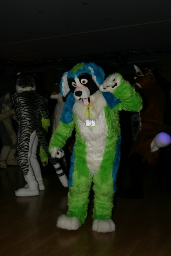 Eurofurence 13, Dancing