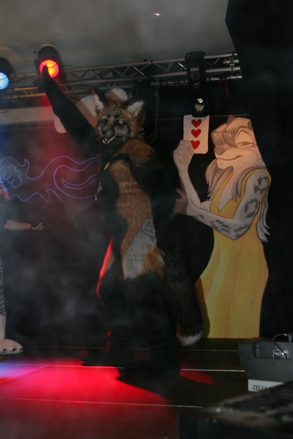 Eurofurence 13