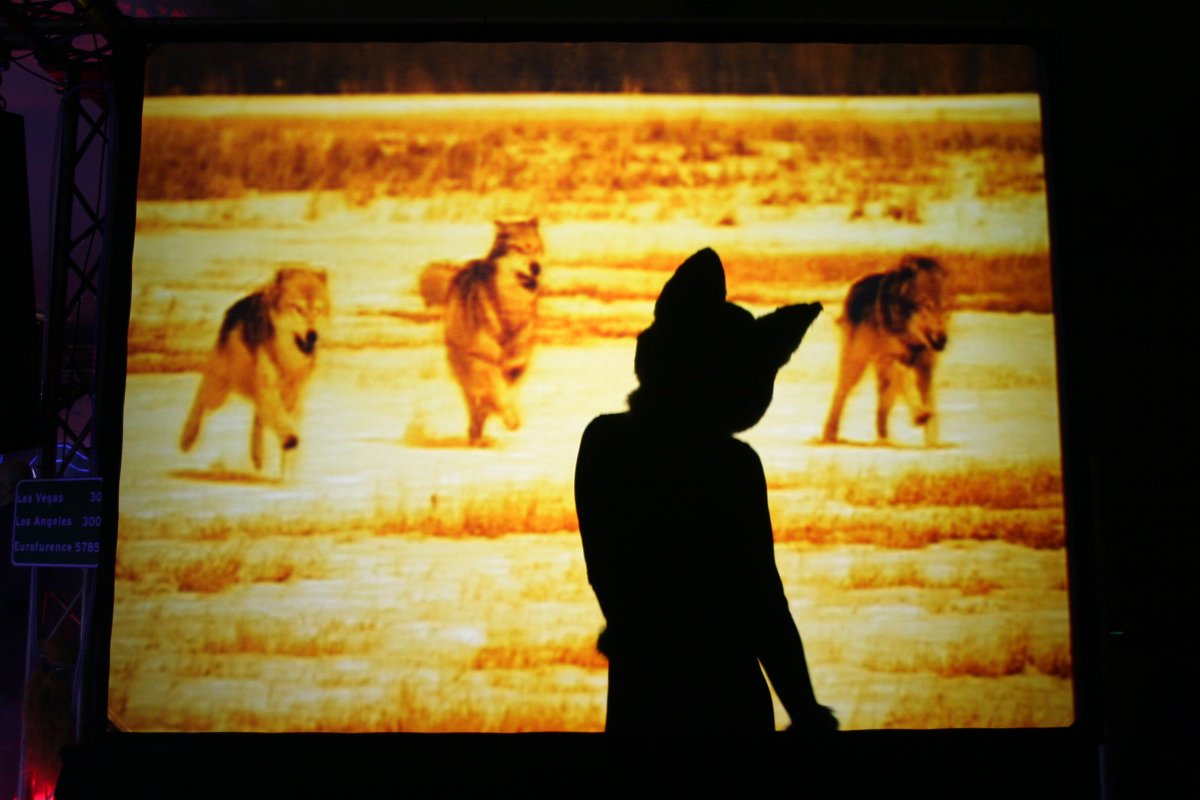 Eurofurence 13, Dancing