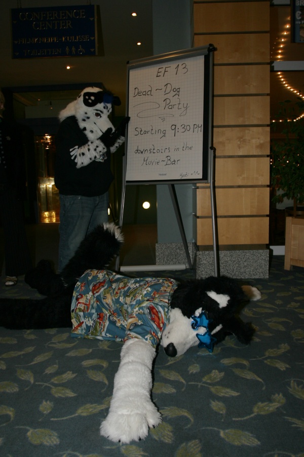 Eurofurence 13, Bowling