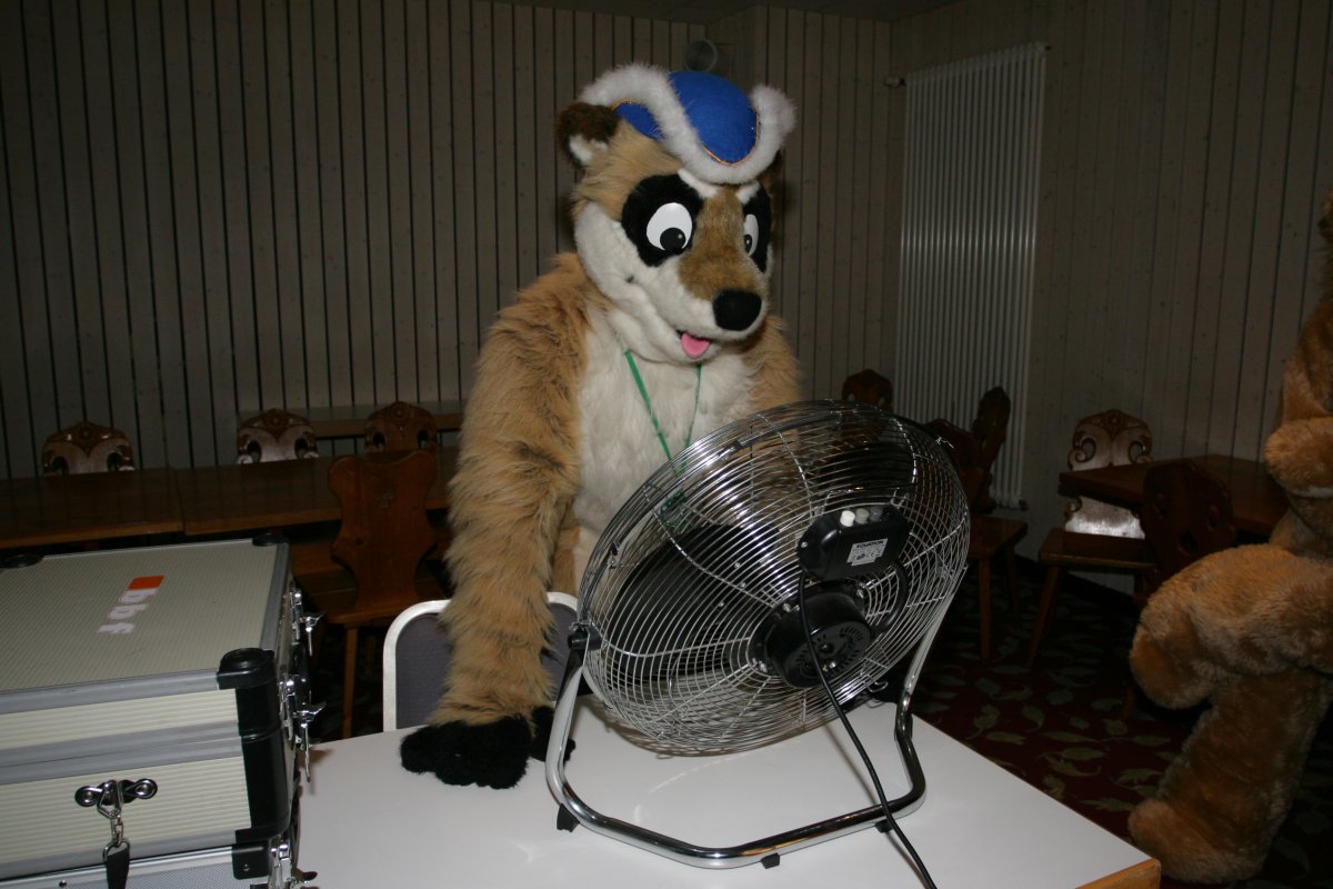 Eurofurence 13, Bowling
