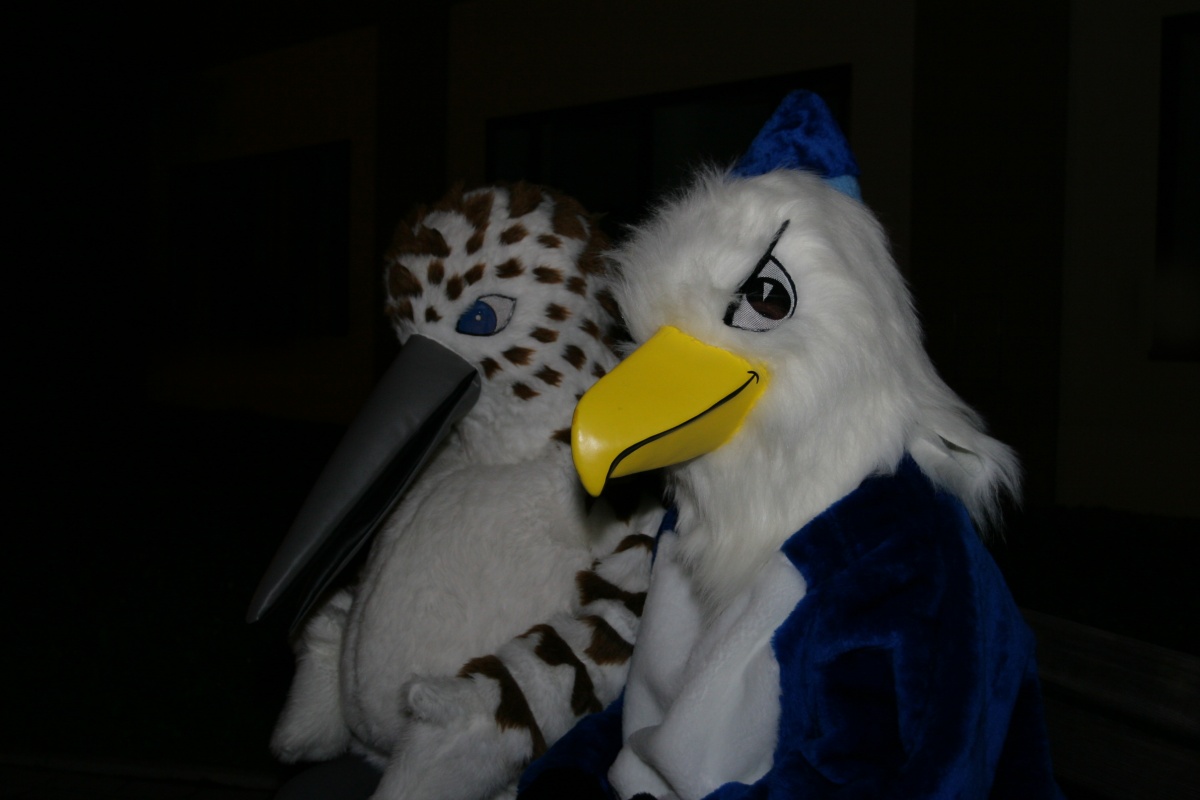 Eurofurence 14
