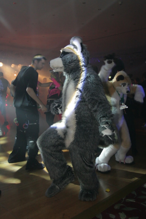 Eurofurence 14, Dancing