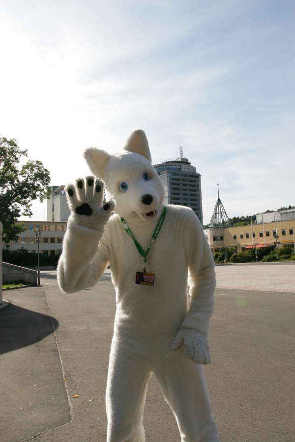 Eurofurence 14, Suhl