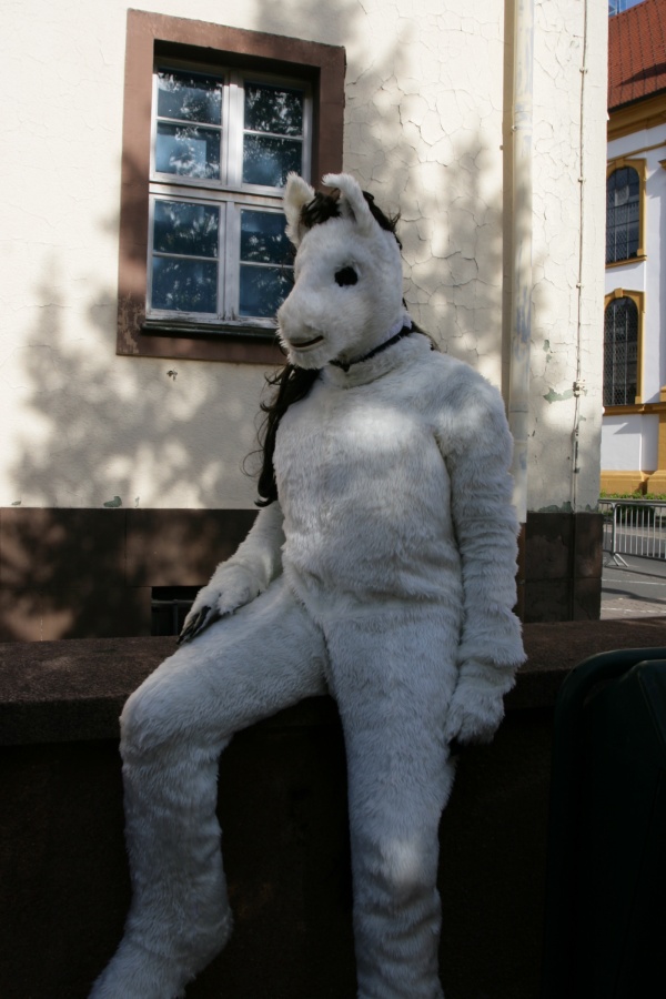 Eurofurence 14, Suhl