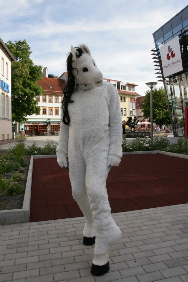Eurofurence 14, Suhl
