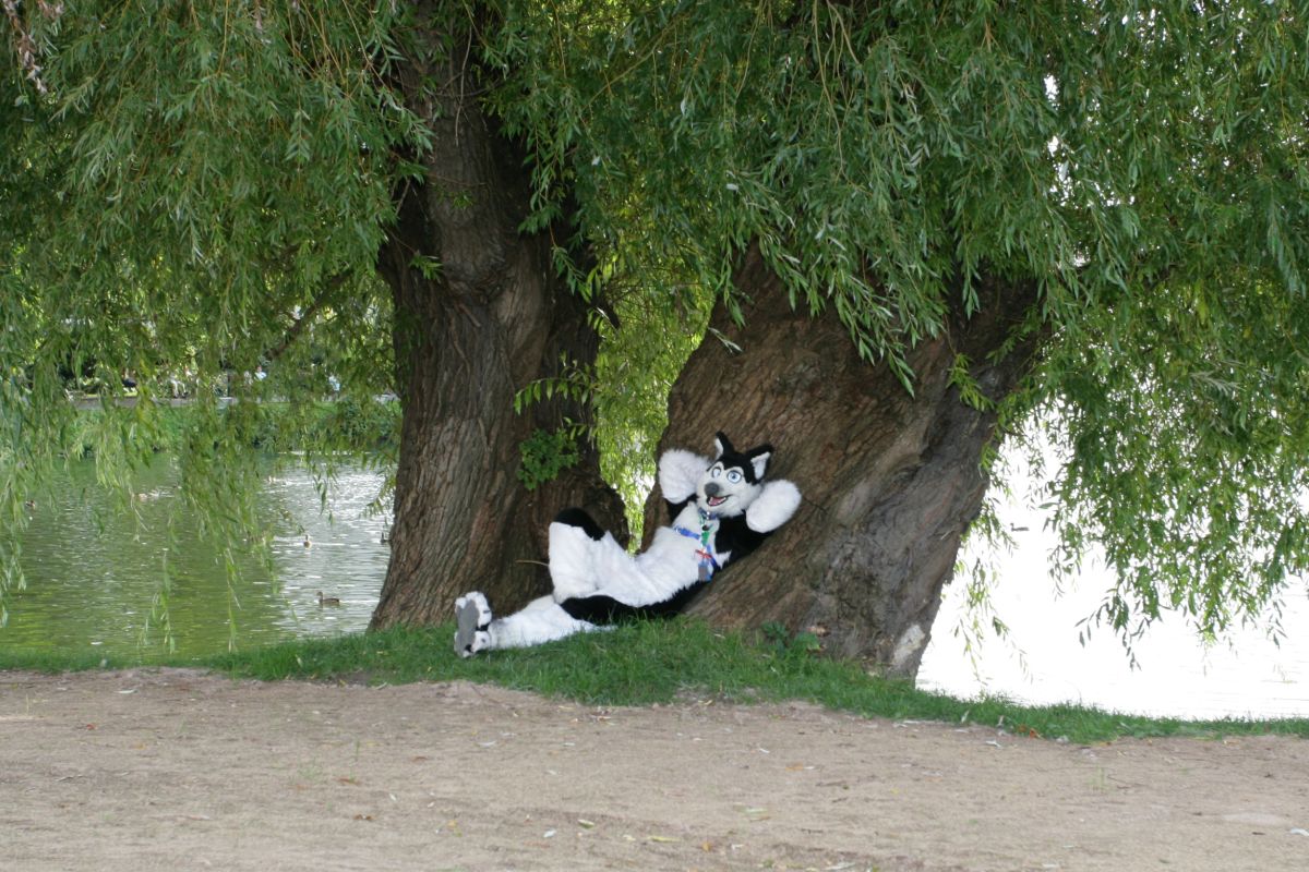 Eurofurence 14