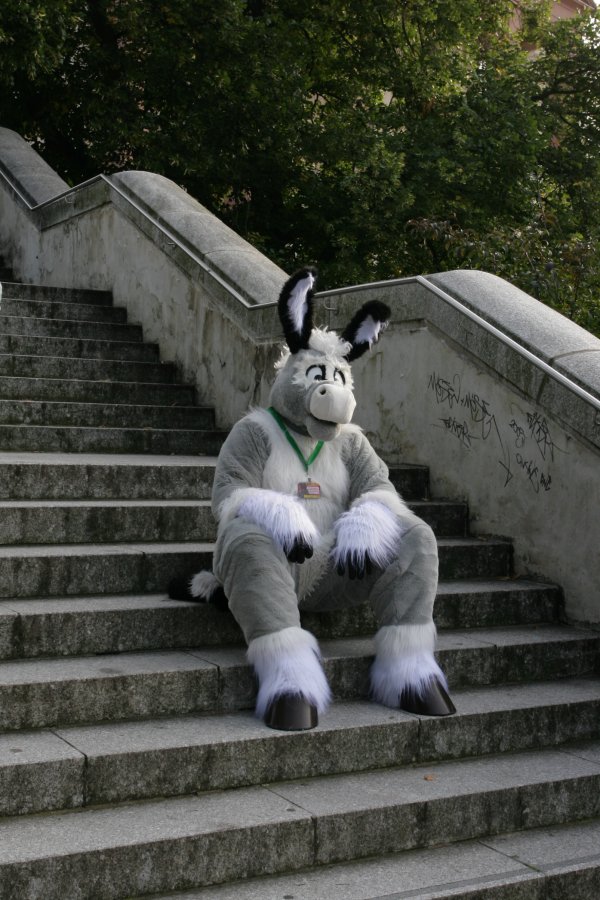 Eurofurence 14, Suhl