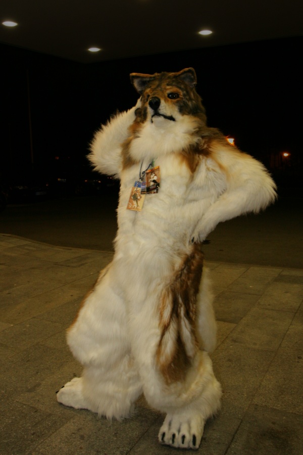 Eurofurence 15, Fursuiters alone