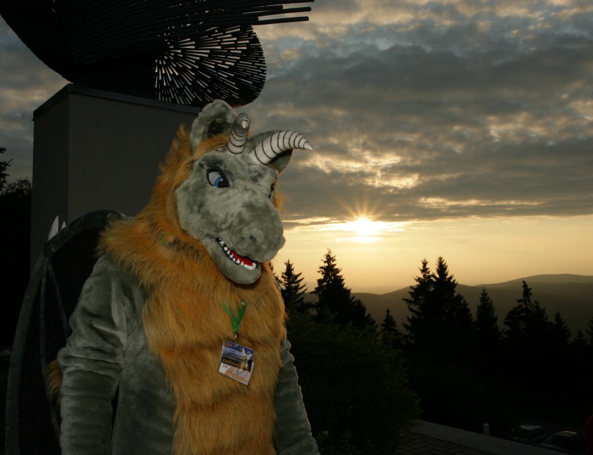 Eurofurence 15, Fursuiters alone