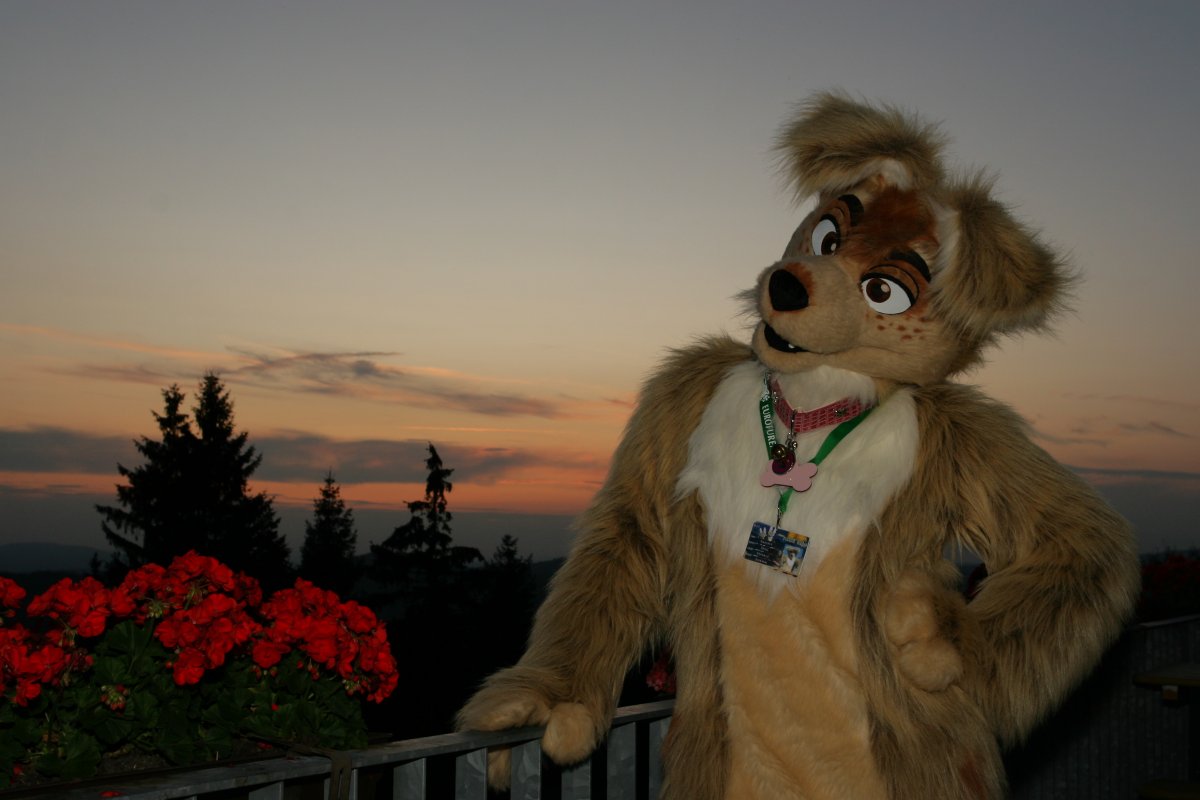 Eurofurence 15, Fursuiters alone