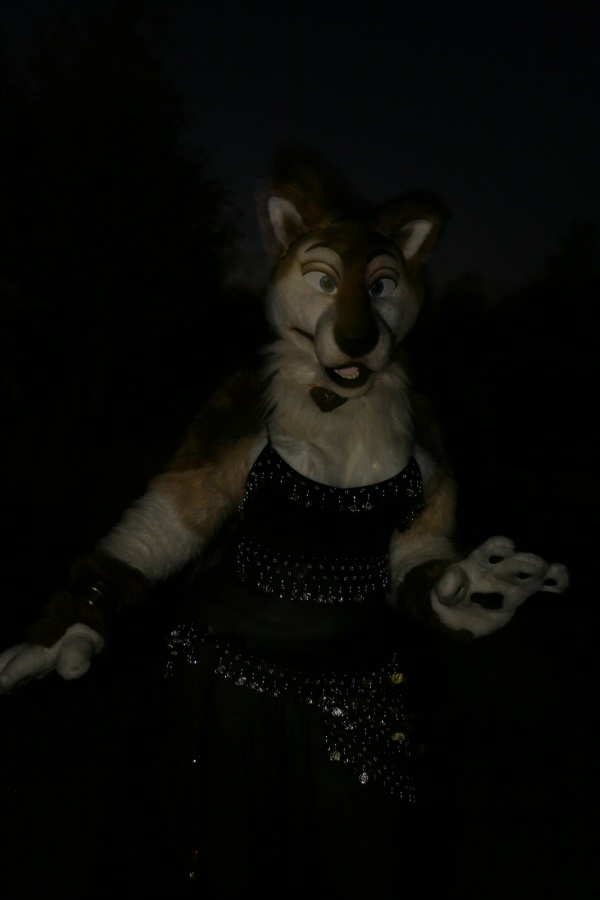 Eurofurence 15, Fursuiters alone