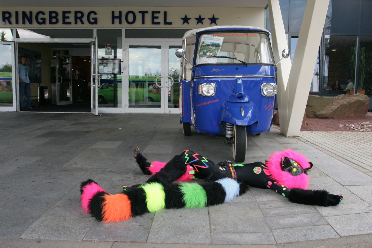 Eurofurence 15, Fursuiters alone