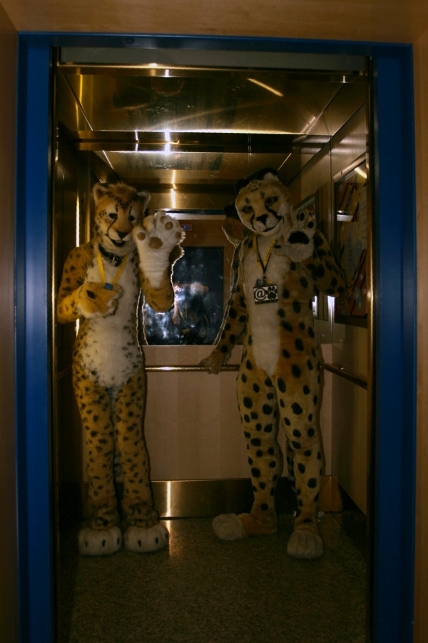 Eurofurence 15, Fursuiters together