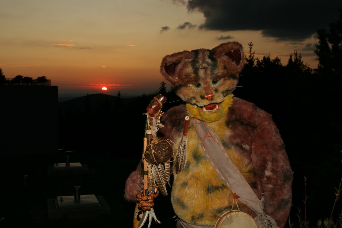 Eurofurence 15, Fursuiters alone