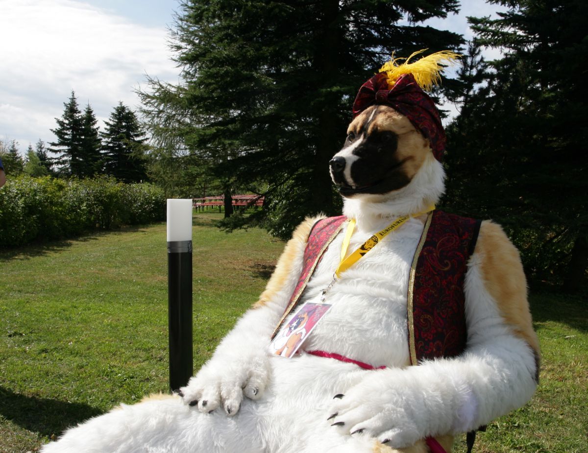 Eurofurence 15