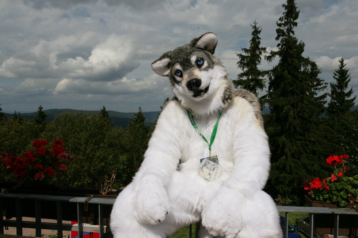 Eurofurence 15, Fursuiters alone