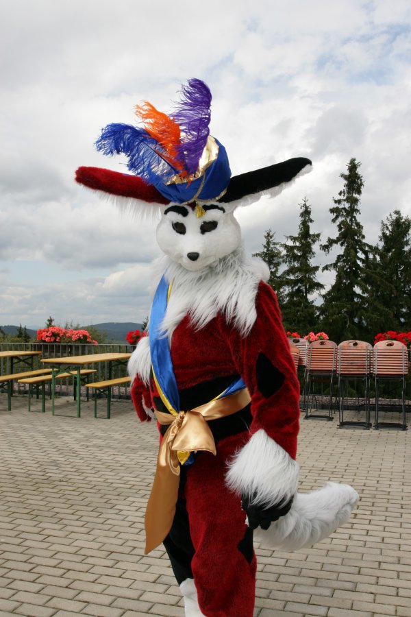 Eurofurence 15, Fursuiters alone