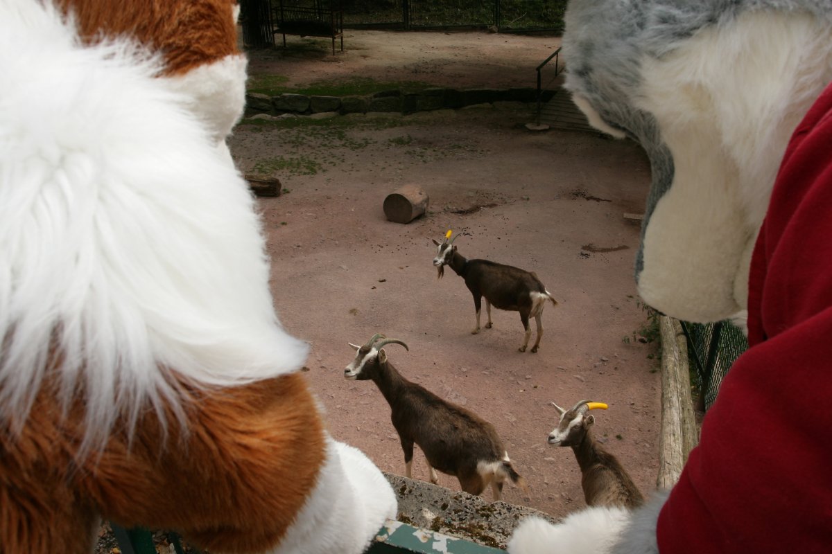 Eurofurence 15, Tierpark