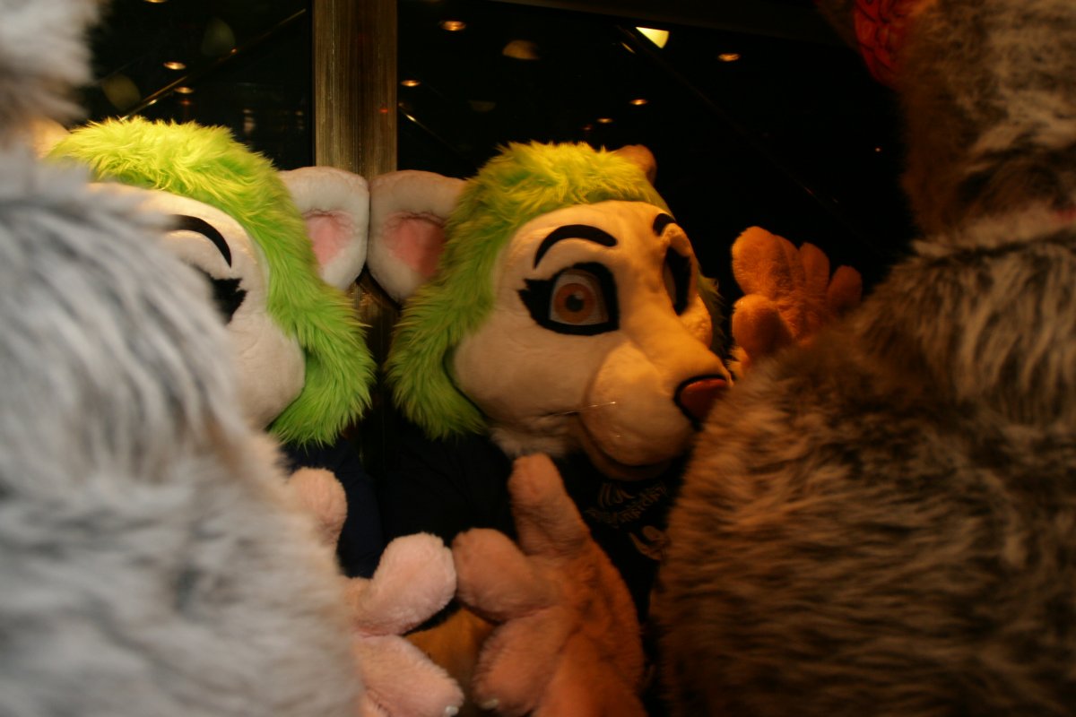 Eurofurence 15, Fursuiters alone