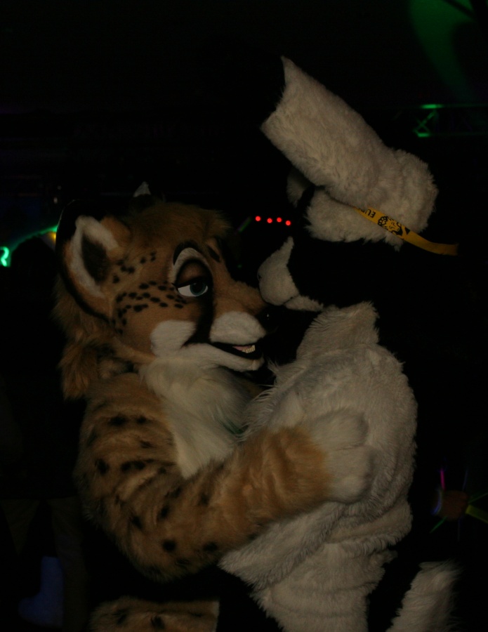 Eurofurence 15, Dancing