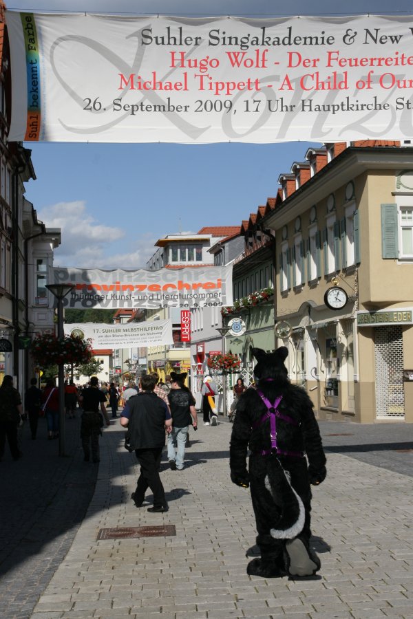 Eurofurence 15, Suhl