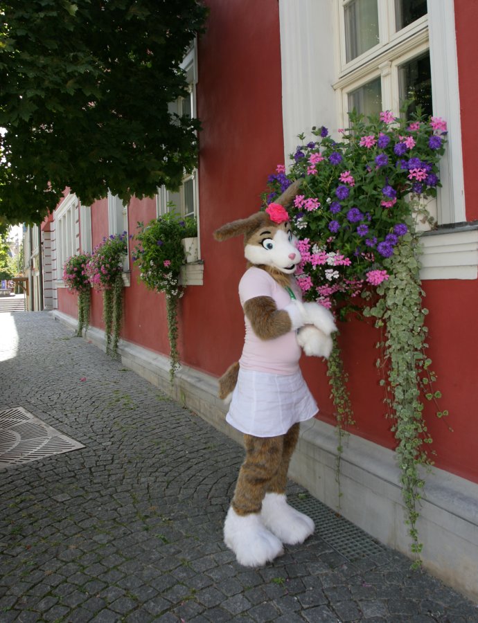 Eurofurence 15, Suhl