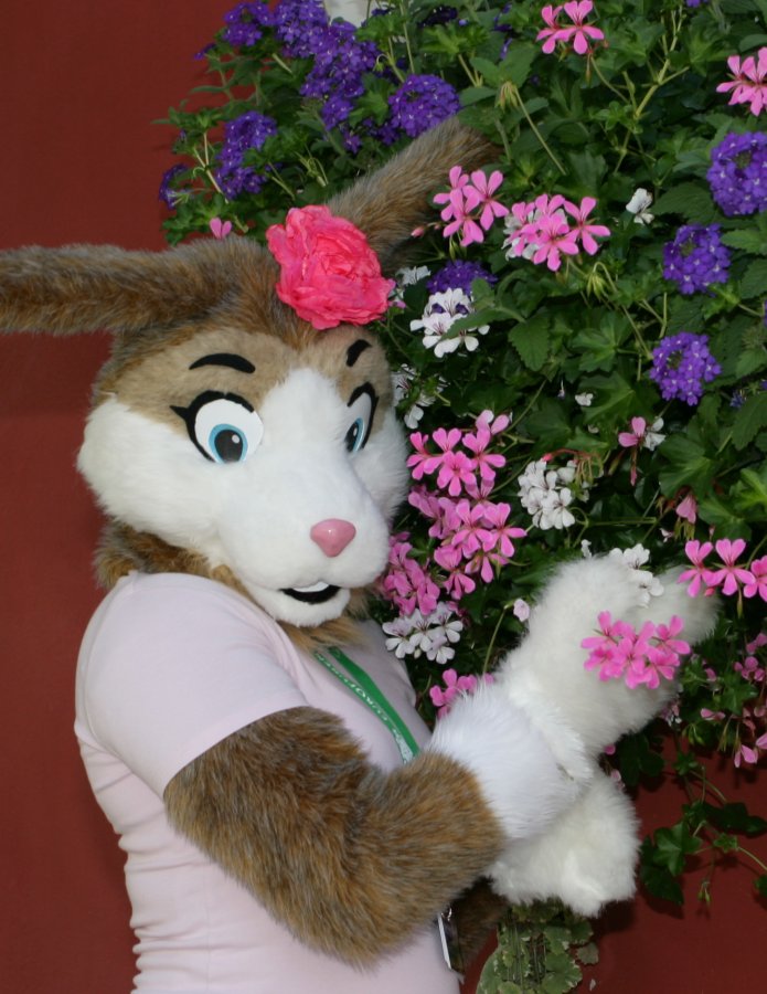 Eurofurence 15, Suhl