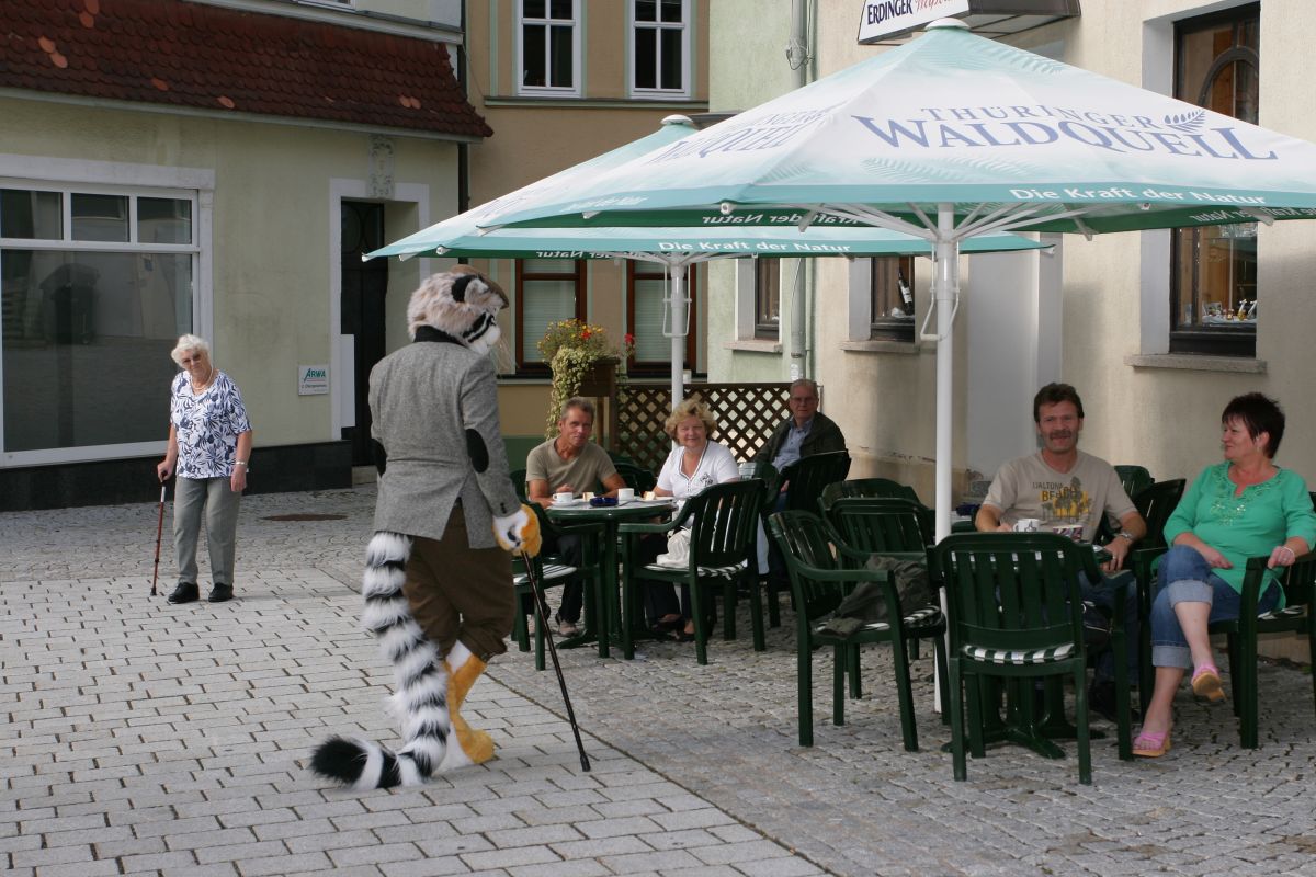 Eurofurence 15, Suhl