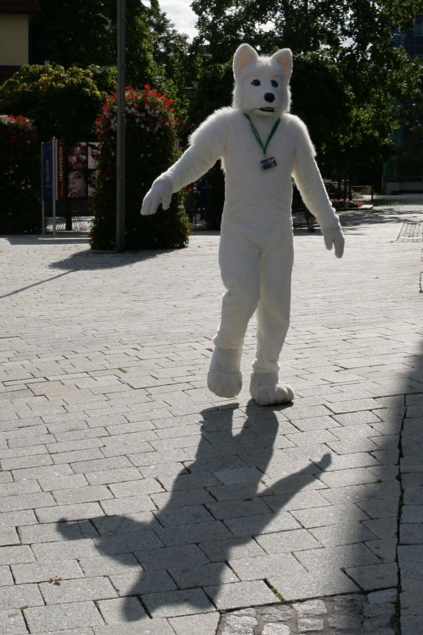 Eurofurence 15, Suhl