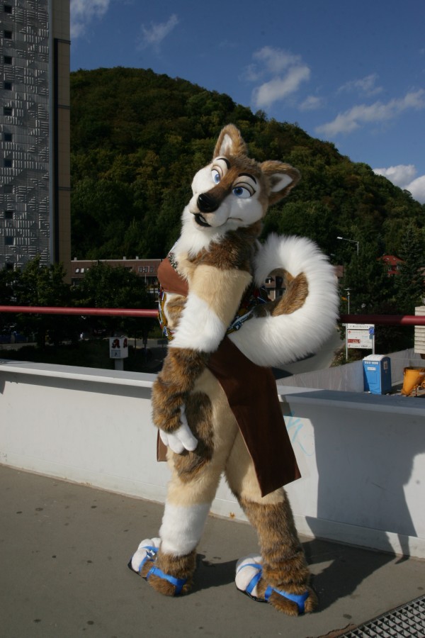 Eurofurence 15