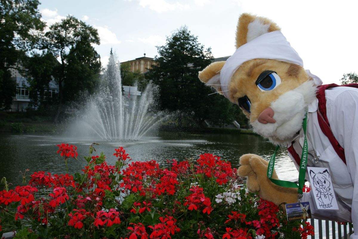 Eurofurence 15, Suhl