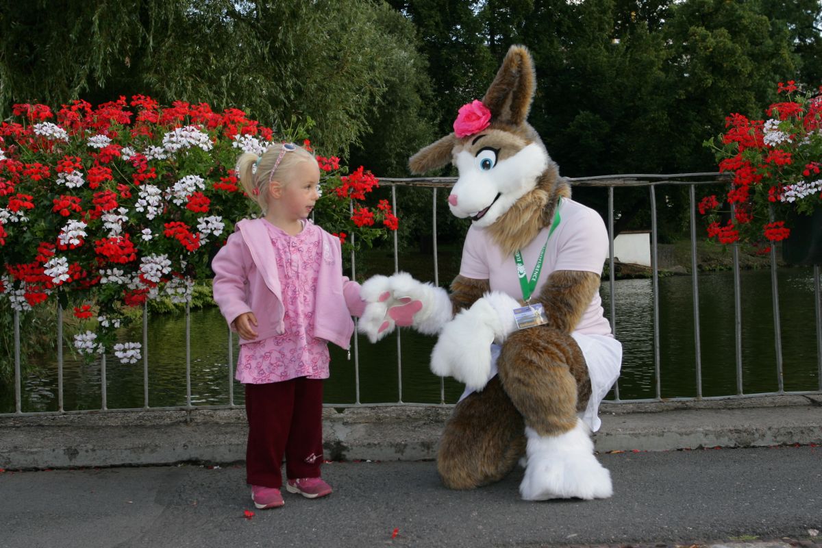 Eurofurence 15, Suhl