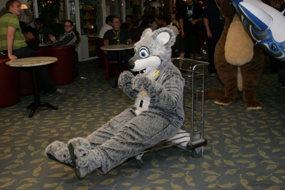 Eurofurence 15, Fursuiters alone