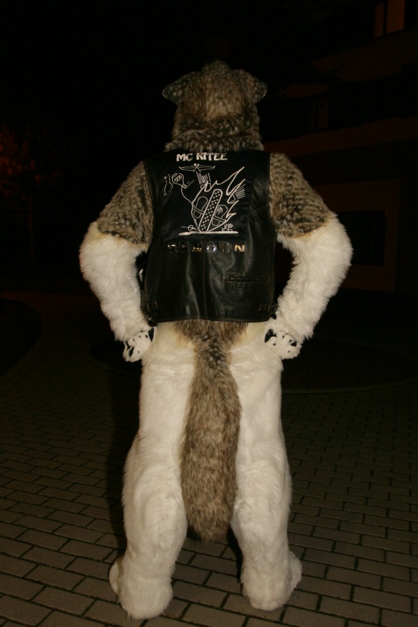 Eurofurence 15, Fursuiters alone