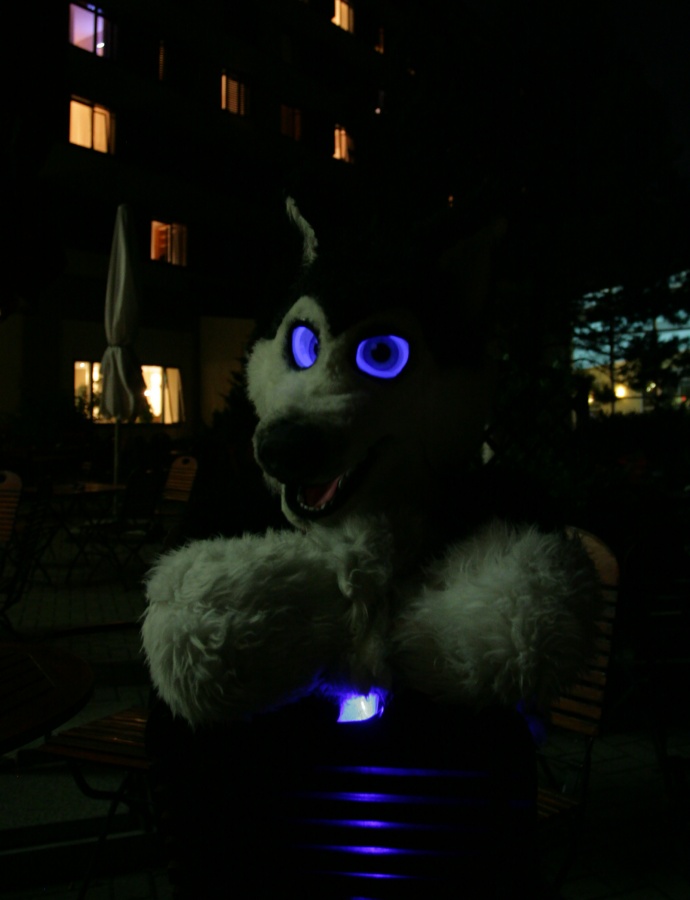 Eurofurence 15