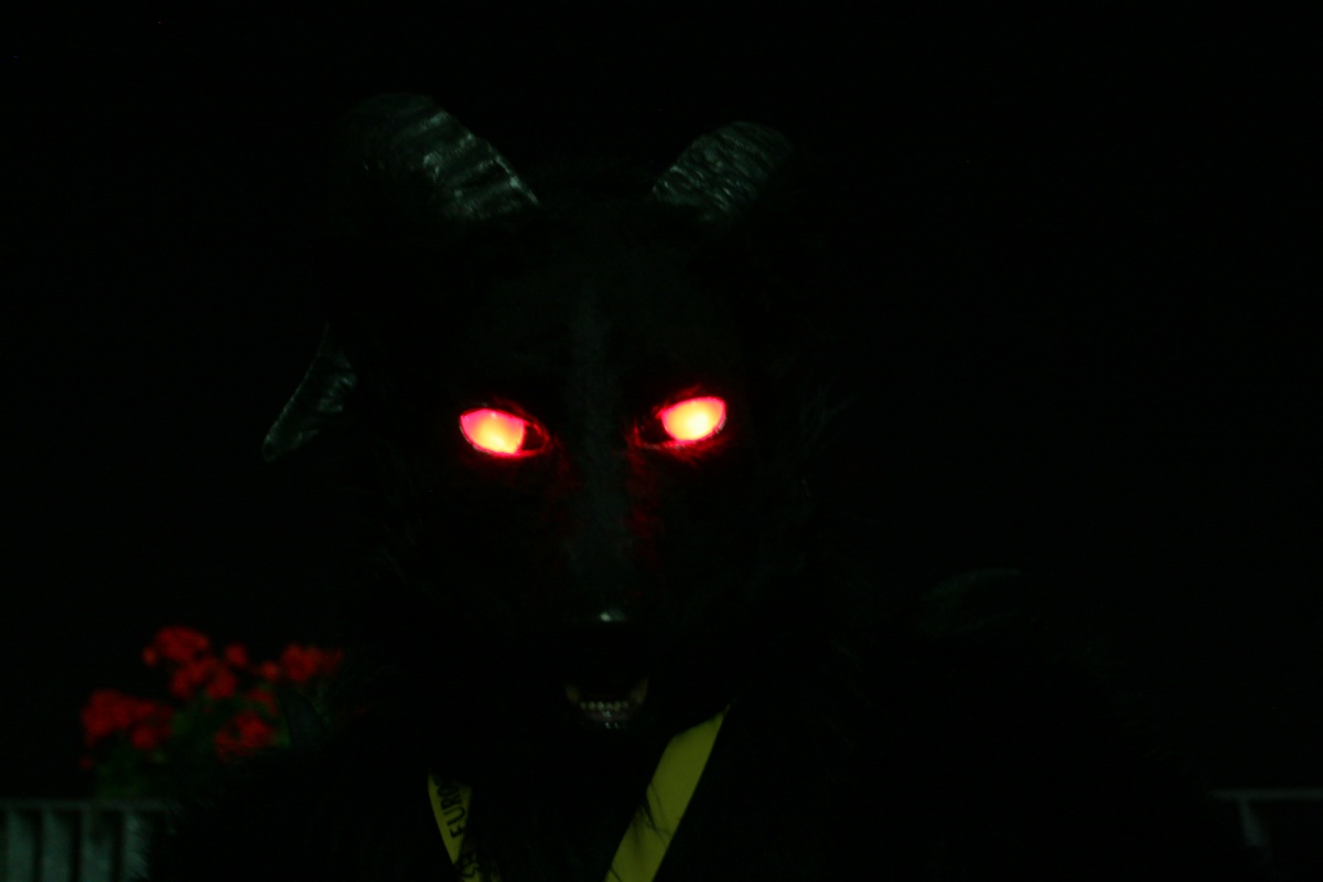Eurofurence 15, Fursuiters alone
