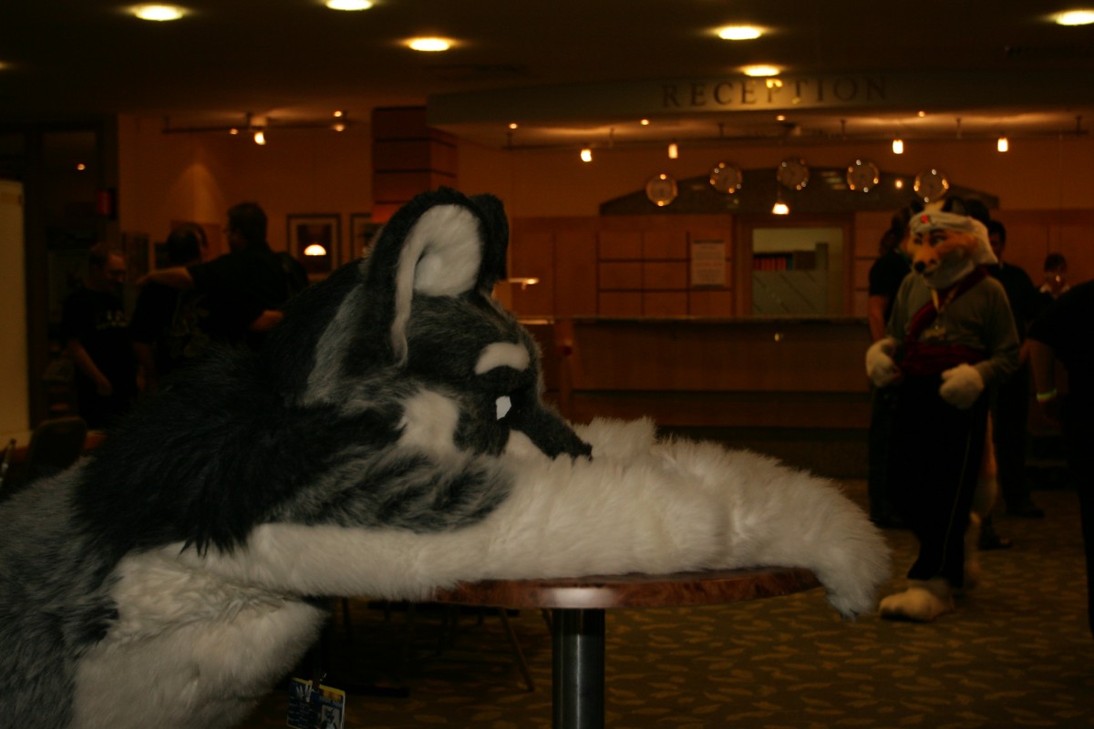 Eurofurence 15, Fursuiters together
