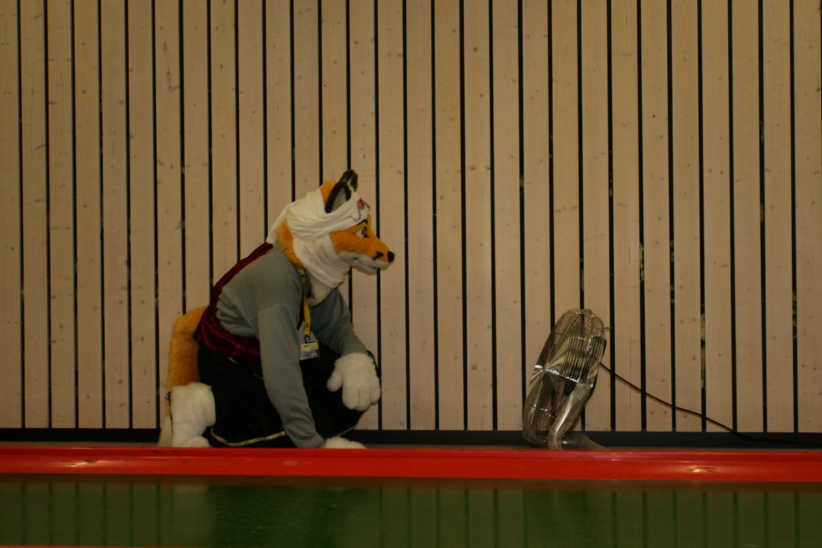 Eurofurence 15, Bowling