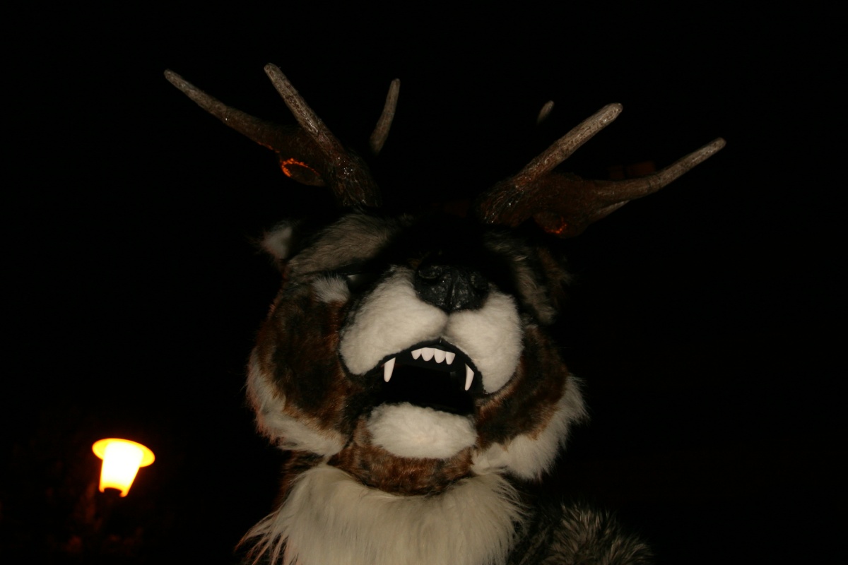 Eurofurence 15, Fursuiters alone