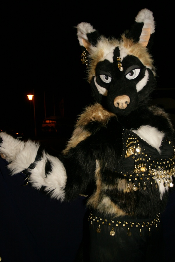 Eurofurence 15, Fursuiters alone